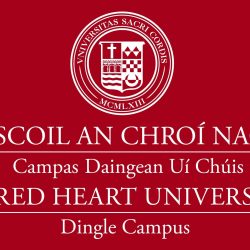 Dingle Bilingual VERT white 1.31